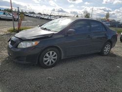 2010 Toyota Corolla Base for sale in Eugene, OR
