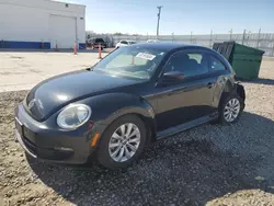Salvage cars for sale at Farr West, UT auction: 2014 Volkswagen Beetle