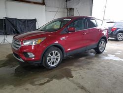 Salvage cars for sale from Copart Lexington, KY: 2019 Ford Escape SE