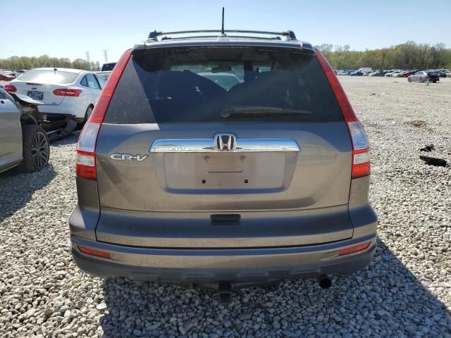 2010 Honda CR-V EXL