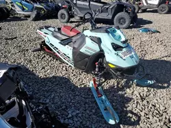 Salvage cars for sale from Copart Reno, NV: 2024 Skidoo Freeride