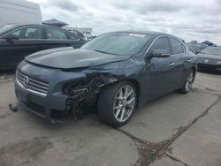 Salvage cars for sale at Grand Prairie, TX auction: 2010 Nissan Maxima S