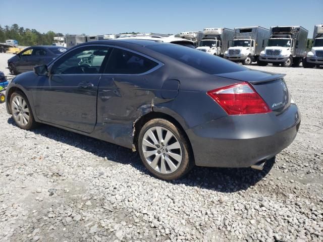 2010 Honda Accord EXL