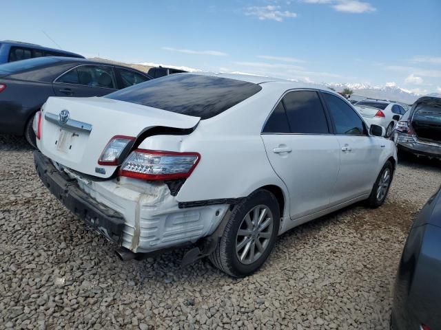 2010 Toyota Camry Hybrid