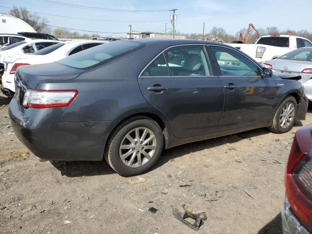 2010 Toyota Camry Hybrid