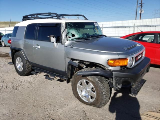 2010 Toyota FJ Cruiser