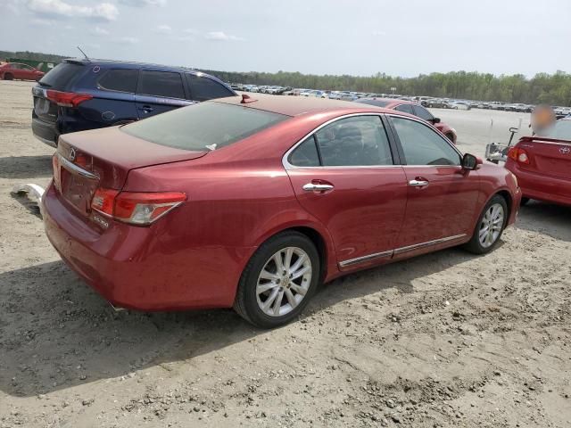 2010 Lexus ES 350