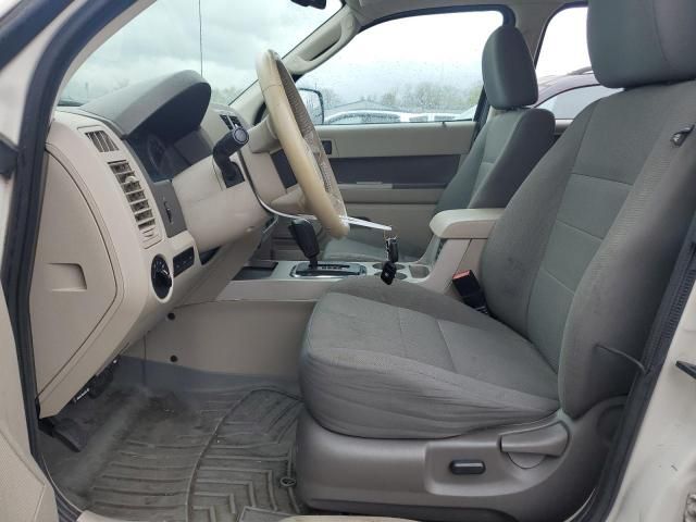 2009 Ford Escape XLT