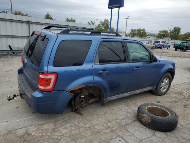 2009 Ford Escape XLT