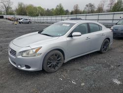 Salvage cars for sale from Copart Grantville, PA: 2009 Nissan Maxima S
