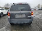 2005 Ford Escape XLT