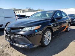 Salvage cars for sale at New Britain, CT auction: 2020 Toyota Camry XLE