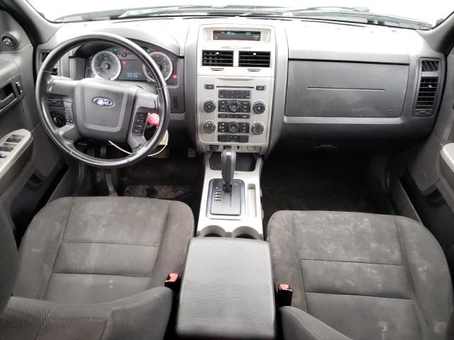 2009 Ford Escape XLT