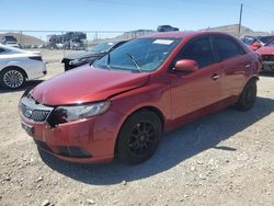 Salvage cars for sale at North Las Vegas, NV auction: 2011 KIA Forte EX