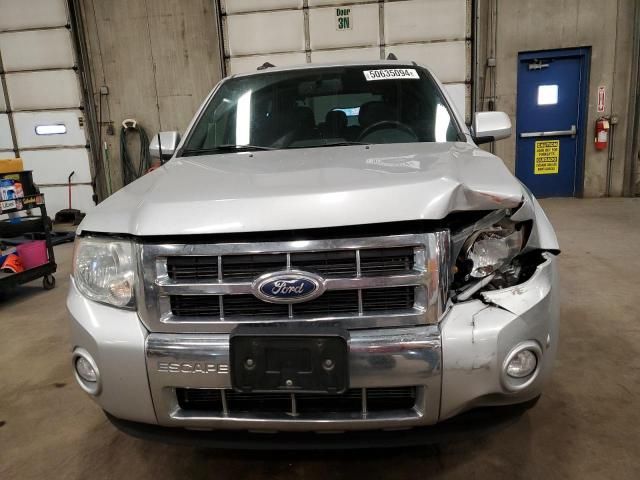 2010 Ford Escape Limited