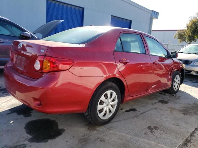 2009 Toyota Corolla Base