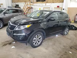 Salvage cars for sale at Ham Lake, MN auction: 2014 KIA Sportage LX