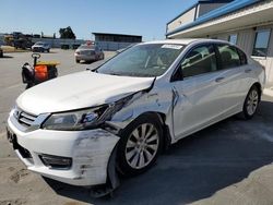 2013 Honda Accord EXL en venta en Antelope, CA