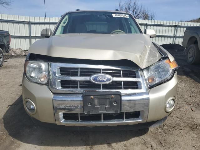 2011 Ford Escape Limited