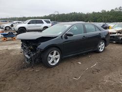 Salvage cars for sale from Copart Greenwell Springs, LA: 2013 Toyota Camry L