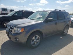 Salvage cars for sale at Indianapolis, IN auction: 2010 Ford Escape XLT