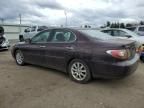 2002 Lexus ES 300