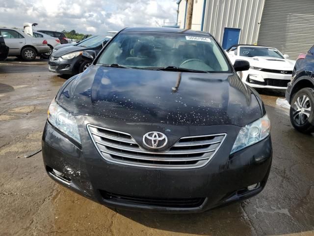 2009 Toyota Camry Hybrid