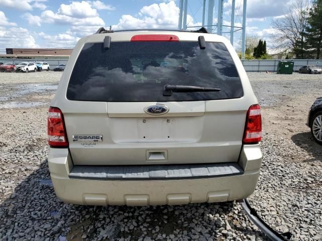 2011 Ford Escape XLT