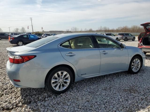 2013 Lexus ES 300H