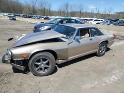 Salvage cars for sale from Copart Marlboro, NY: 1990 Jaguar XJS Palette Collection