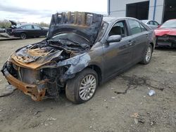 Salvage cars for sale at Windsor, NJ auction: 2007 Toyota Camry LE