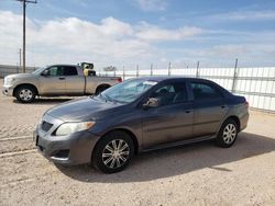 Salvage cars for sale at Andrews, TX auction: 2009 Toyota Corolla Base
