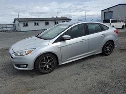 Ford Focus SE Vehiculos salvage en venta: 2015 Ford Focus SE