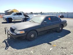 Vehiculos salvage en venta de Copart Antelope, CA: 2007 Ford Crown Victoria Police Interceptor