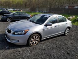 Salvage cars for sale at Finksburg, MD auction: 2008 Honda Accord EXL