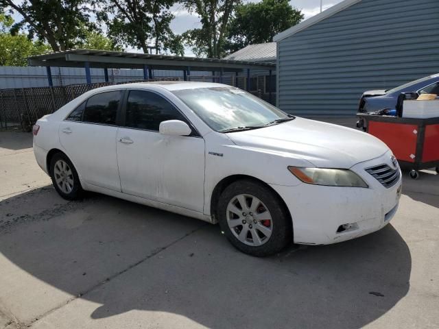 2008 Toyota Camry Hybrid