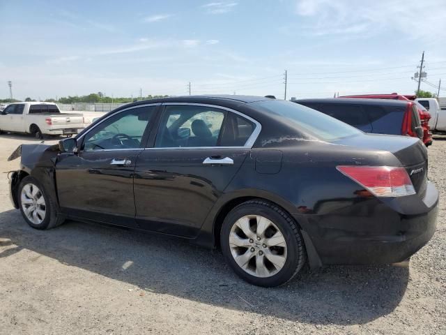 2010 Honda Accord EXL