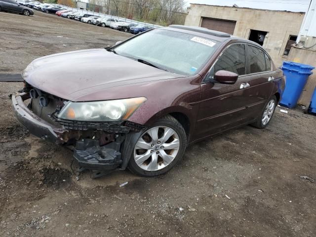 2010 Honda Accord EXL