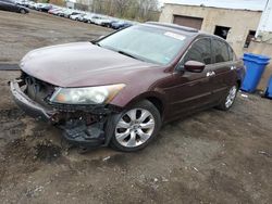 Honda salvage cars for sale: 2010 Honda Accord EXL