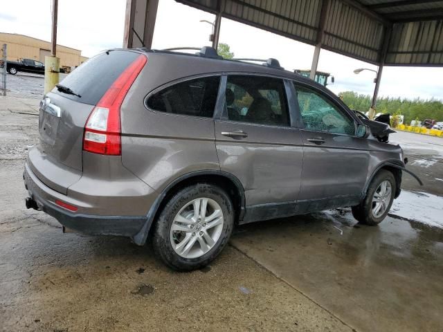 2010 Honda CR-V EXL