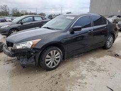 Salvage cars for sale from Copart Lawrenceburg, KY: 2012 Honda Accord EX