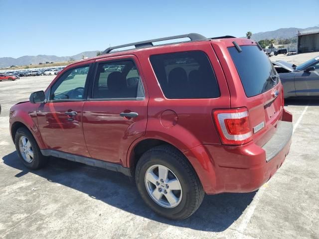 2010 Ford Escape XLT