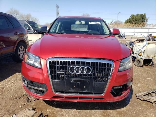 2010 Audi Q5 Premium Plus