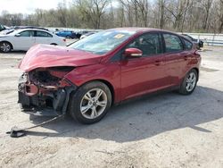 Ford Focus SE salvage cars for sale: 2014 Ford Focus SE