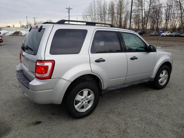 2009 Ford Escape XLT