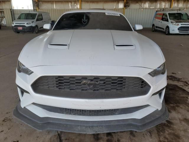 2019 Ford Mustang