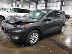 Salvage cars for sale from Copart Ham Lake, MN: 2020 Ford Escape SE