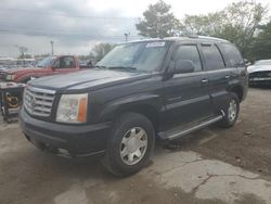 Salvage cars for sale at Lexington, KY auction: 2006 Cadillac Escalade Luxury