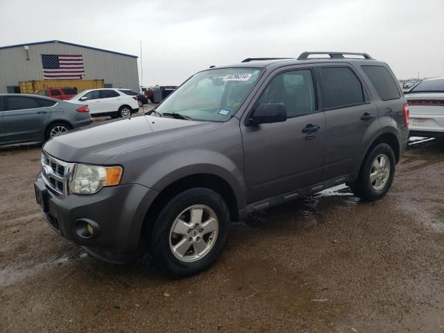 2011 Ford Escape XLT