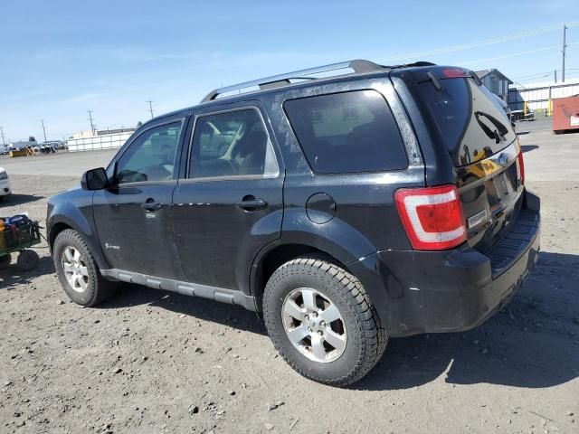 2010 Ford Escape Hybrid